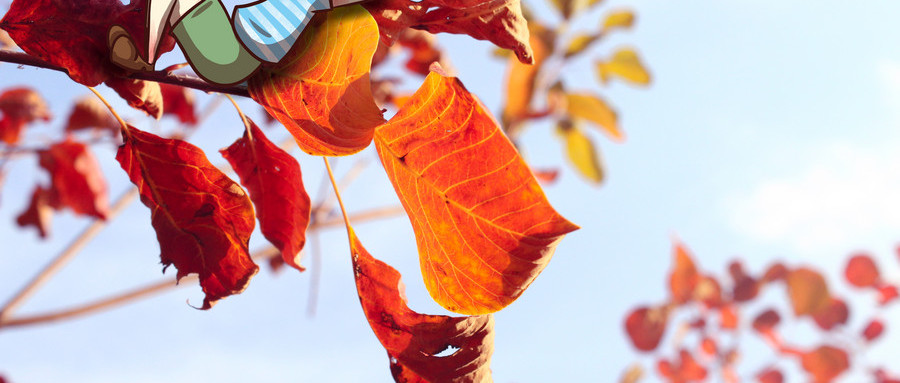 北京新车贷款购买指南：轻松购车，满足你的需求！ 图2